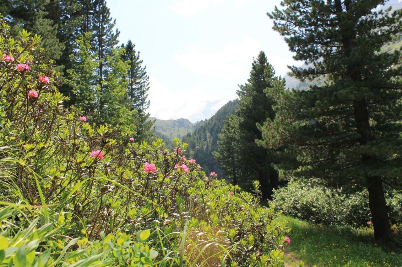 Alpenappartement Kleiner Tannheim Luaran gambar