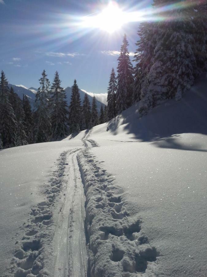 Alpenappartement Kleiner Tannheim Luaran gambar